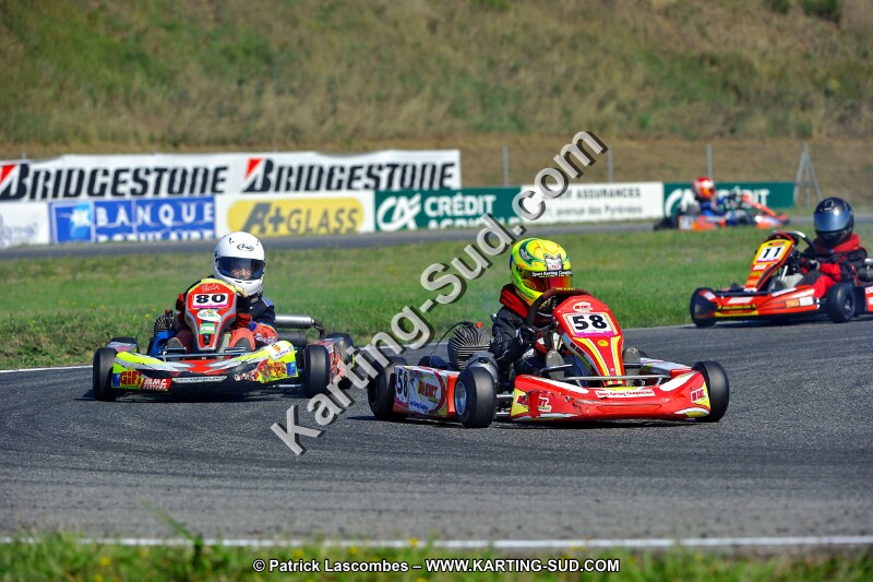 DSC_ (1232).jpg